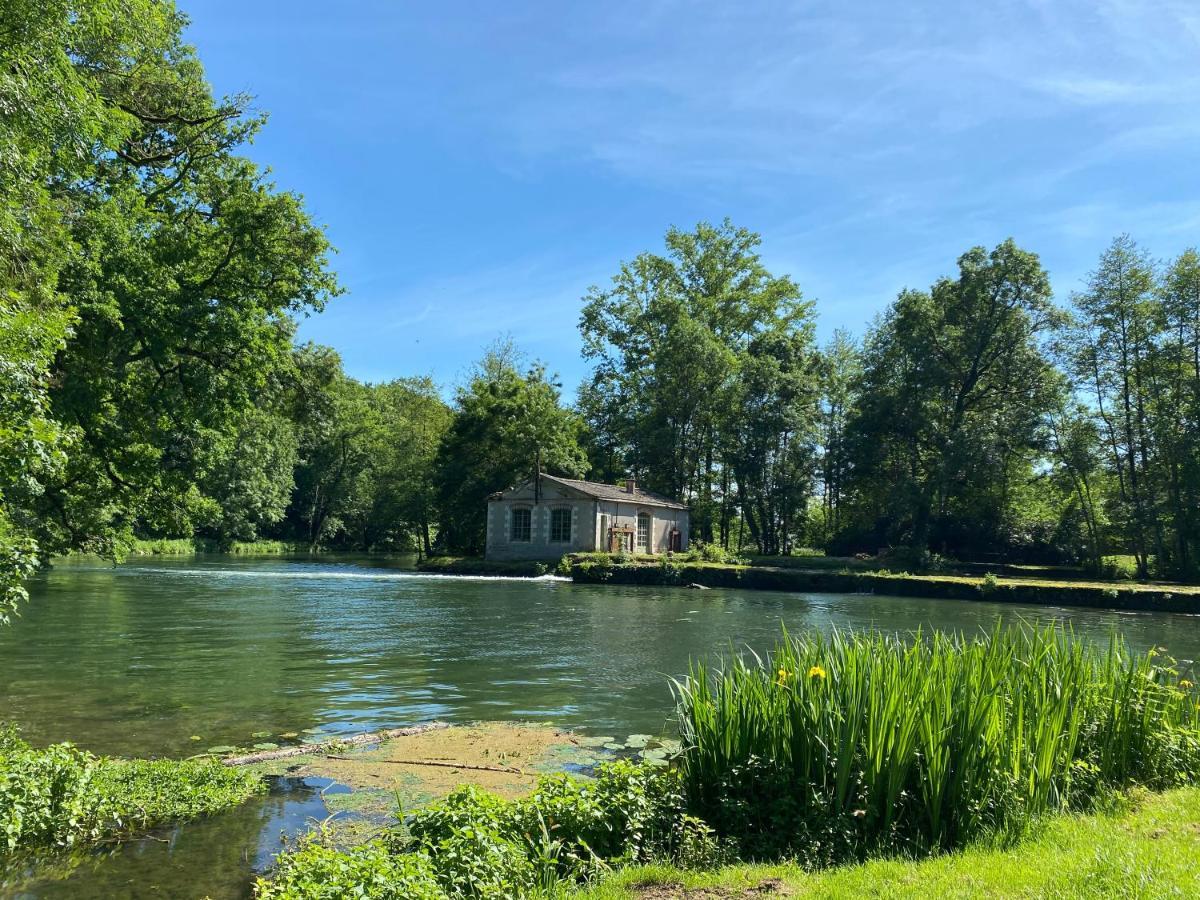 Chateau Des Loups - Les Cedres Bleus Echire Eksteriør billede